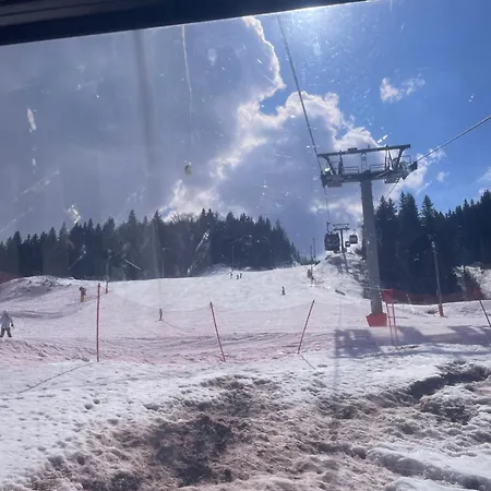 1 Vucko * Jahorina